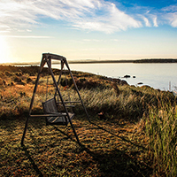 ddos压力在线测试平台