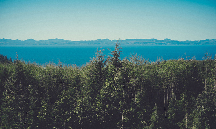 ddos在线攻击平台